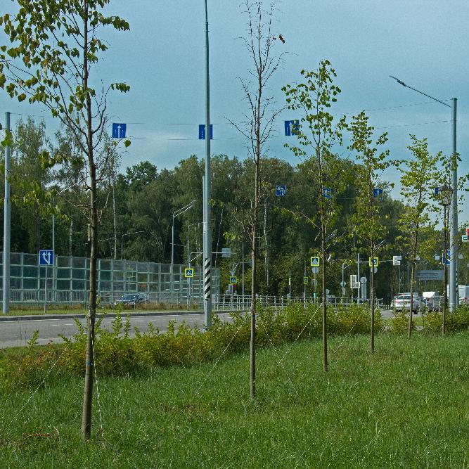 Строительство автомобильной дороги Марьино - Саларьево (1 этап)