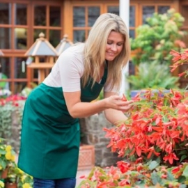 Мастер классы и обучение