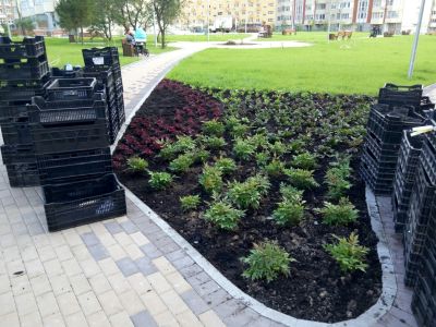 Посадка цветников в п. Коммунарка г. Москва