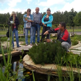 Итоги семинара по хвойным растениям 23.07