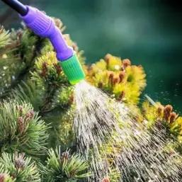  Влагозарядный полив деревьев осенью: полный гид для садовода