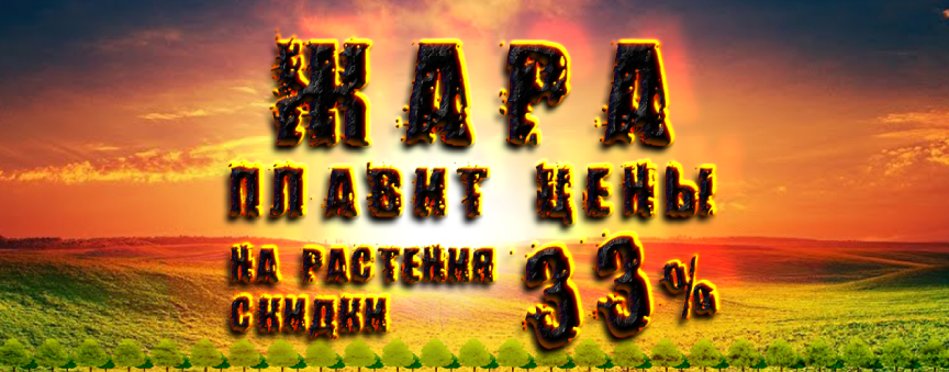 ЖАРА! Скидка 33% на все растения! 14 и 15 июля 2021