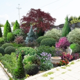 Матовникова Юлия - реализованный проект Деревенский палисадник