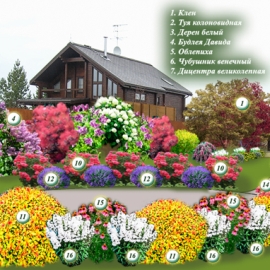 Елена Буренина - проект "Разноцветный уютный мир"