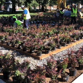 Территория Северного речного вокзала г. Москва