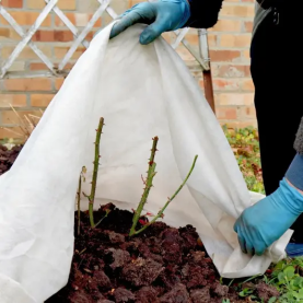 Статьи Выбор укрывного материала для растений: полное руководство по зимней защите сада