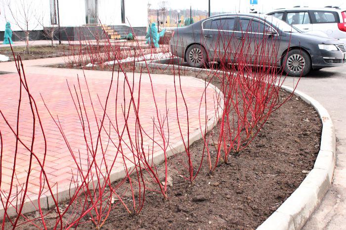 Апрель в садовом центре (2012 г)