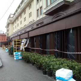 Посадки Рододендронов возле ТЦ "Охотный Ряд"