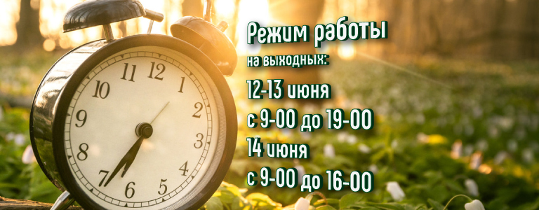 Время работы в июне 