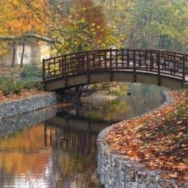 Оксана Гриб - ручей "Парковый" г. Калининград