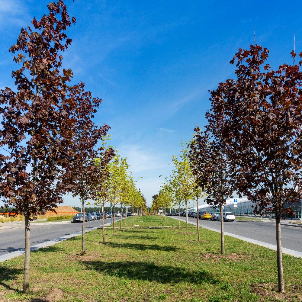 Проектирование и строительство в поселке Коммунарка (1 этап)