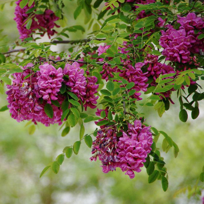 Ұлы суретшілердің картиналарындағы секс