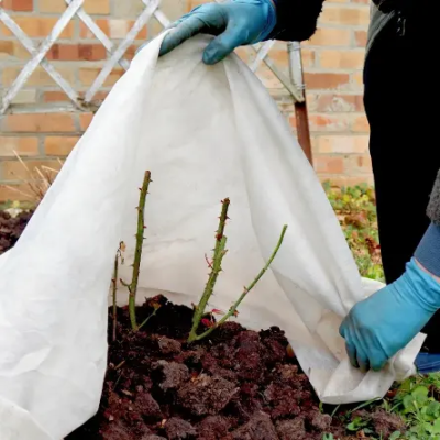 Выбор укрывного материала для растений: полное руководство по зимней защите сада