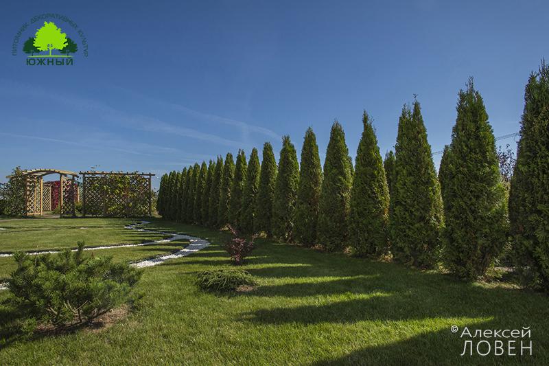 Сочный сентябрь 2015-го ПДК "ЮЖНЫЙ"