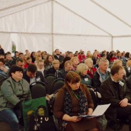 Конференции, доклады