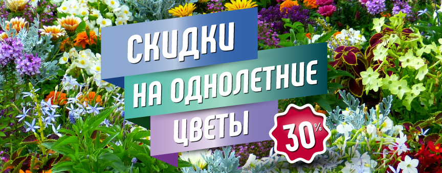 Скидка 30% на однолетние цветы 