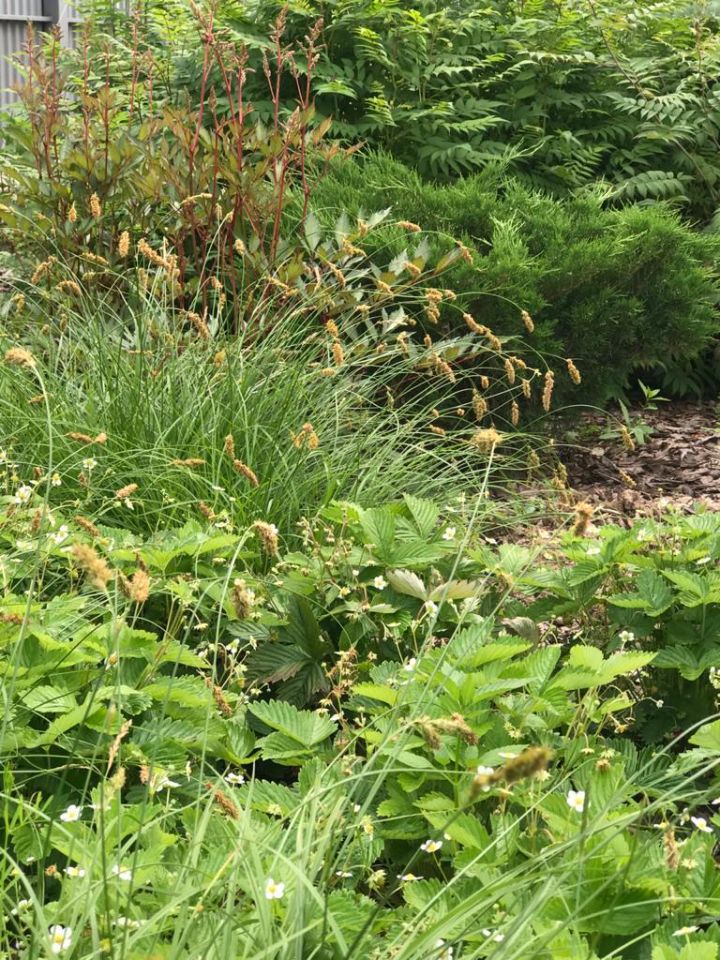 Лиственная композиция