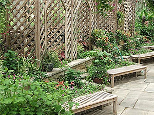 trellis.jpg trellis.jpg