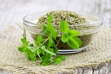 Семена Майоран