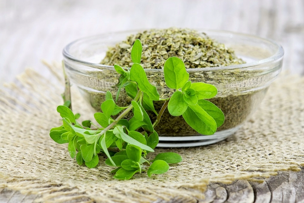 Семена Майоран