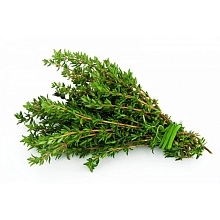 Семена Тимьян