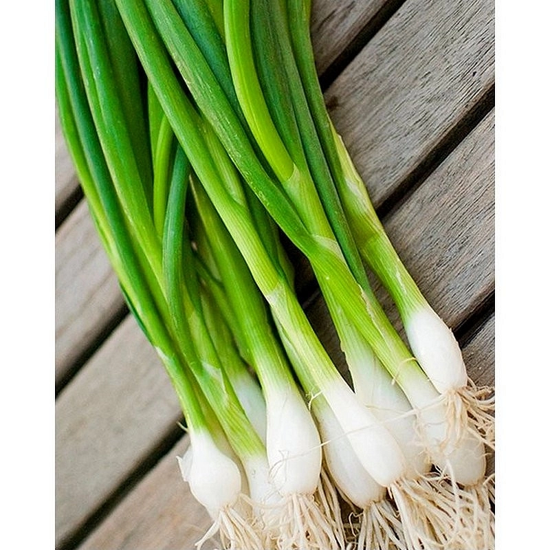 Семена Лук батун