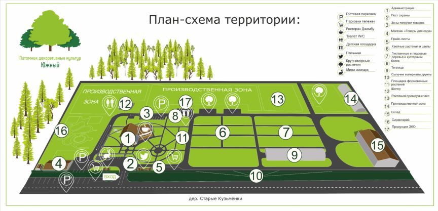План питомника