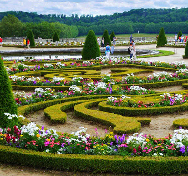 Версальские сады ритм ландшафтного дизайна