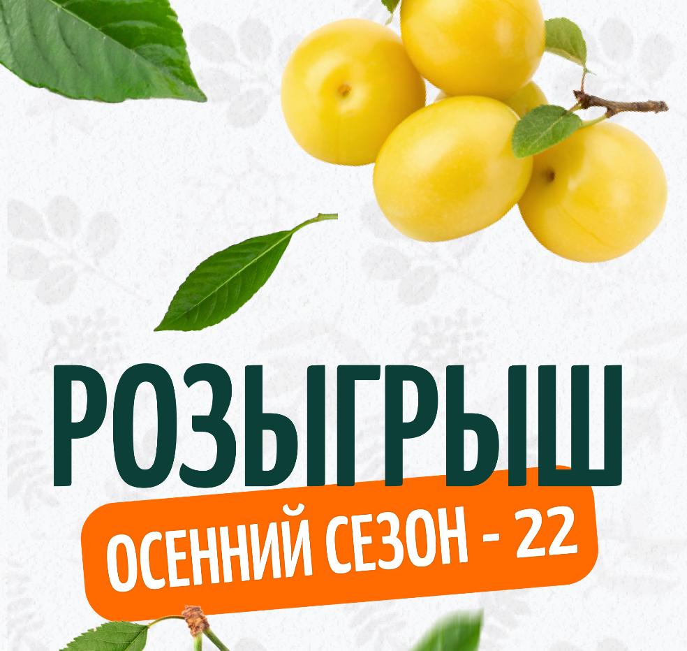Участники розыгрыша2