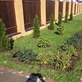 Коттеджный поселок Старые Кузьменки, ДНТ Берег 22 сотки Коттеджный поселок Старые Кузьменки, ДНТ Берег 22 сотки