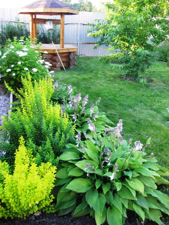 Ландшафтный дизайн: Готовый проект участка 15 соток КП в г. Чехов ...