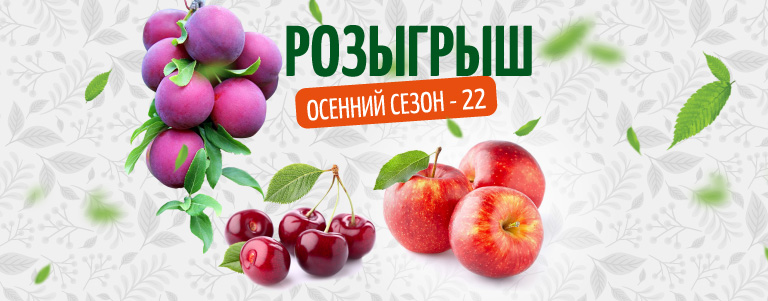 Новости Новый розыгрыш с ценным призом