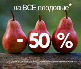 Продолжаем удивлять! Скидка 50% на плодовые