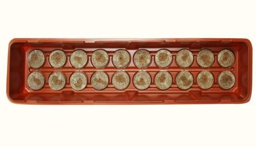 Мини-парник (длинный) 20 ячеек