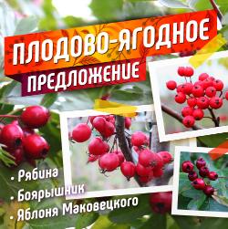 Финальные скидки и супер-товары!