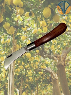 Нож прививочный НС-2 (нерж.) средний