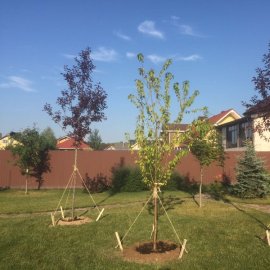 КП Сосновка Парк КП Сосновка Парк