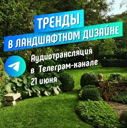 Новости 23 июня аудиотрансляция по теме - Тренды в ландшафтном дизайне!