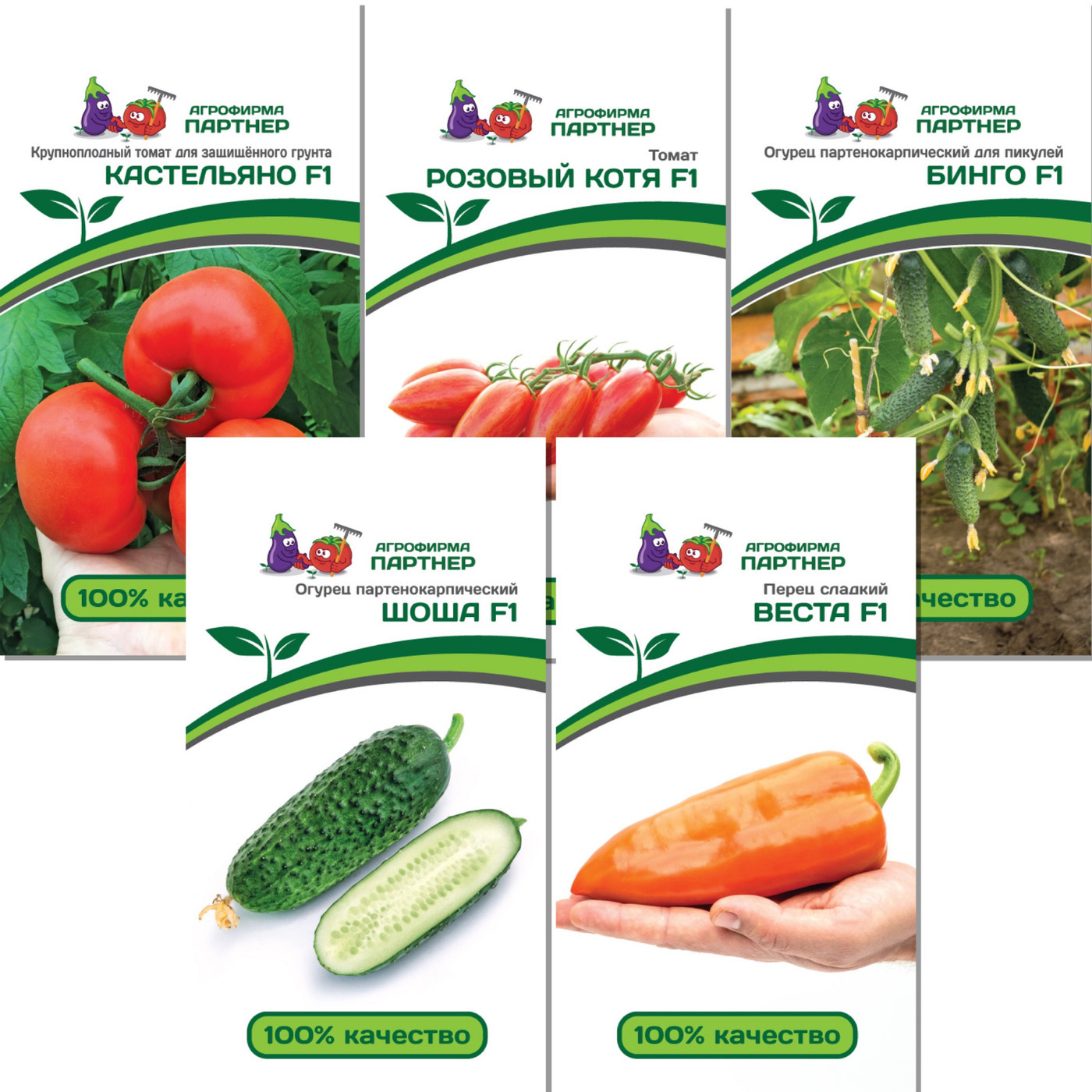 Семена Партнер