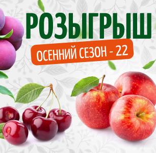 Новый розыгрыш с ценным призом