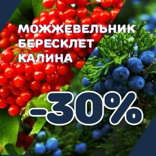 Скидка 30% на лучшие хвойные и декоративные кустарники!