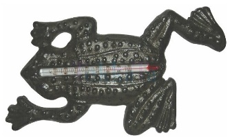 Термометр Лягушка