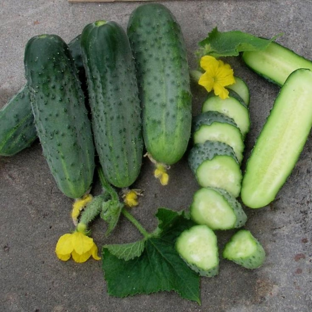 Огурец 'Аристократ'