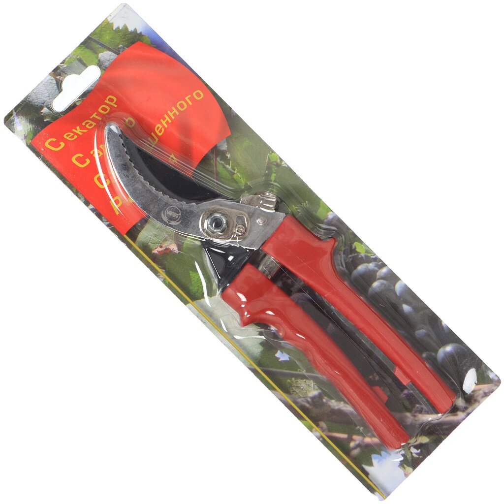 Секатор хром СССР