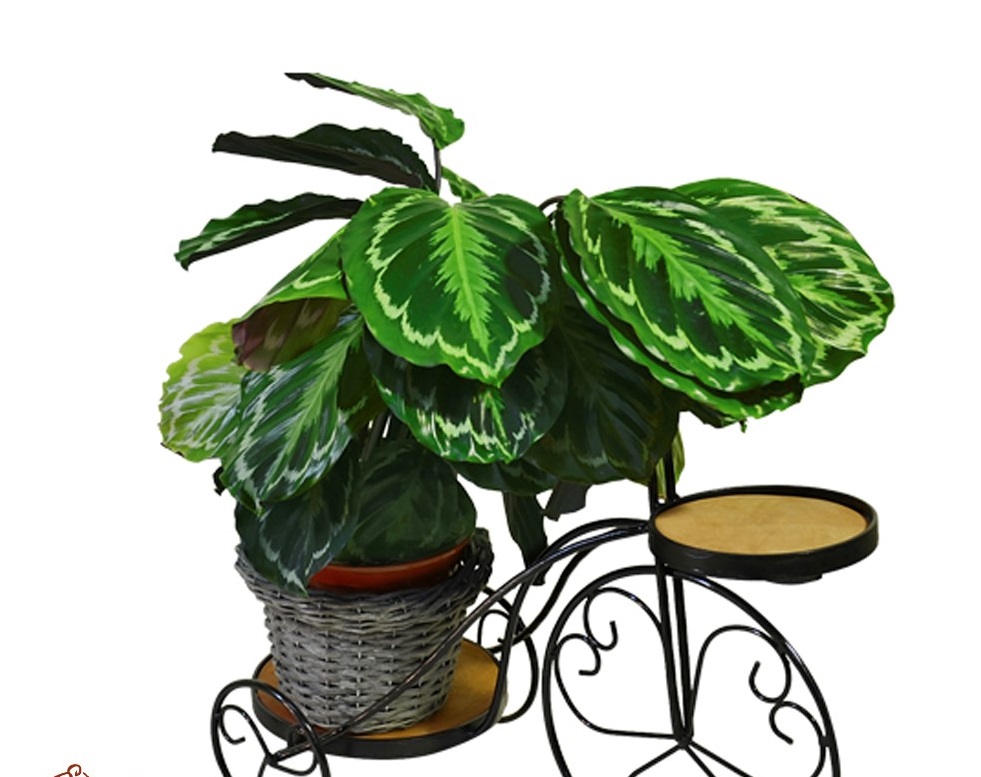 Подставка садовая Велосипед садовый 59-442 (Айронкр)