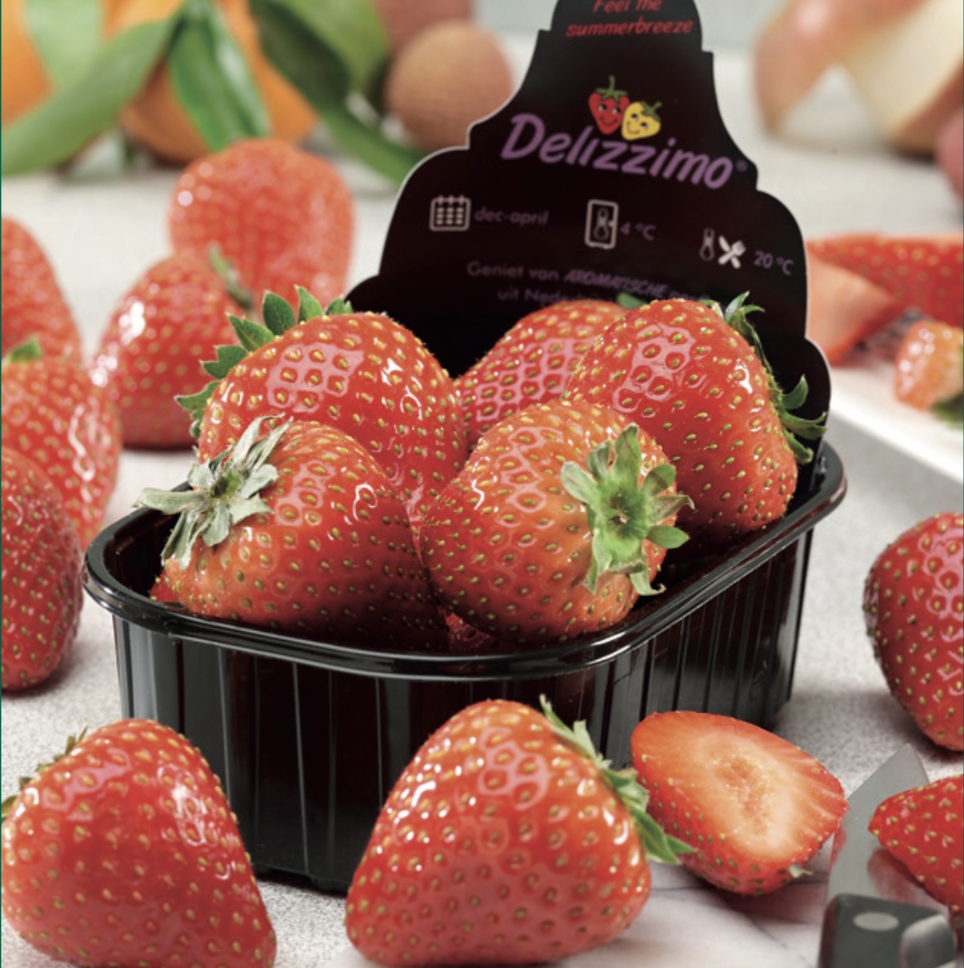 Земляника (Дюшения) 'Делиззимо' (лесная)