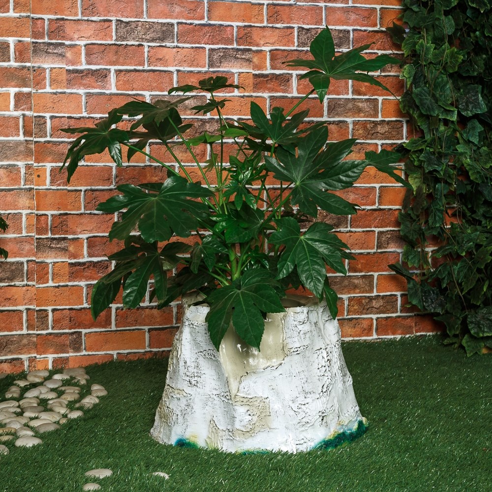 Кашпо Пень березовый F02016 (Айронкр)