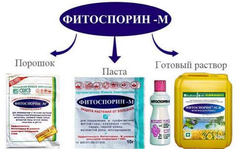 Фунгицид Фитоспорин-М  Фунгицид Фитоспорин-М