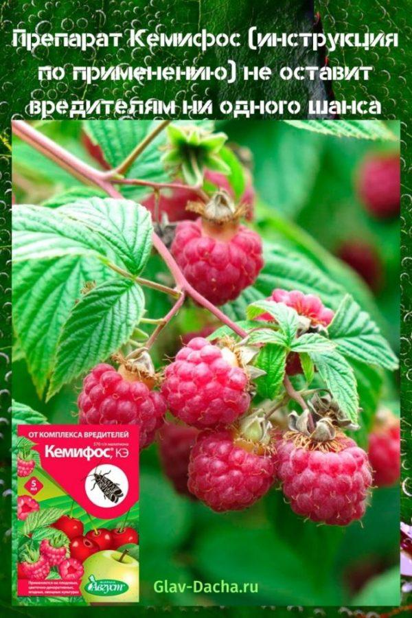 Инсектицид Кемифос