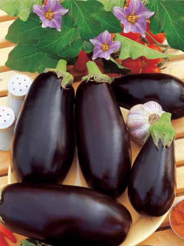 Баклажан 'Алмаз'